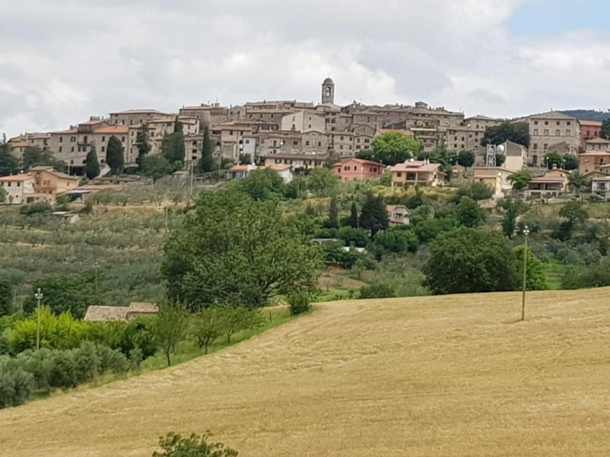 Al Ginepro Bed & Breakfast Montecchio  ภายนอก รูปภาพ