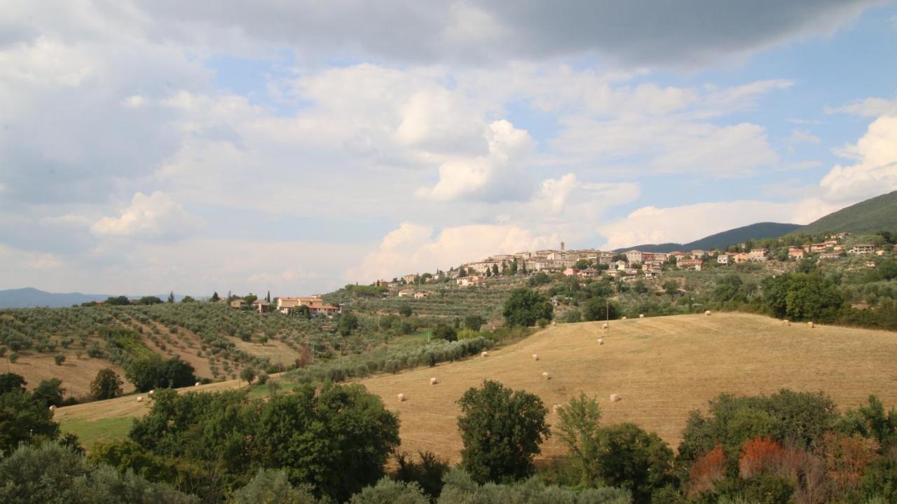 Al Ginepro Bed & Breakfast Montecchio  ภายนอก รูปภาพ